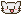 gatito